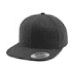 Melton wool snapback (6689M)