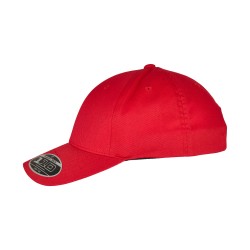 Flexfit 110 curved visor snapback