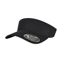 110 visor (8110)