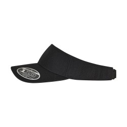 110 visor (8110)