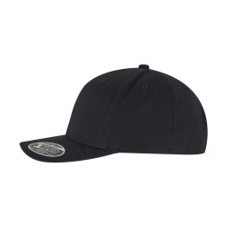 110 Flexfit Curved Snapback Cap 9293