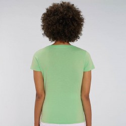 Sustainable & Organic T-Shirts Women's Stella Evoker v-neck t-shirt (STTW023) Adults  Ecological STANLEY/STELLA brand wear