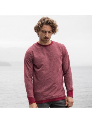 Sustainable & Organic Sweatshirts Galapagos regen sweatshirt Adults  Ecological AWDis Ecologie brand wear