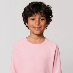 Sustainable & Organic Sweatshirts Kids mini Scouter iconic crew neck sweatshirt (STSK916) Kids  Ecological STANLEY/STELLA brand wear