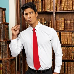 Plain Satin Tie Colours Premier