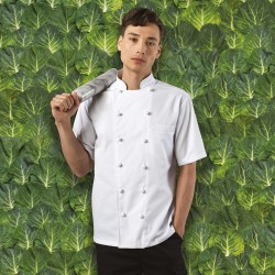 Plain Chef's Jacket Ambassador Short Sleeve Premier 195 GSM