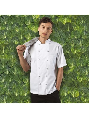 Plain Chef's Jacket Ambassador Short Sleeve Premier 195 GSM