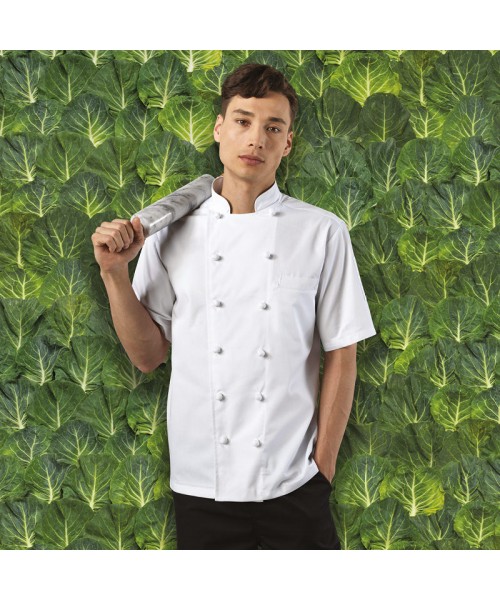 Plain Chef's Jacket Ambassador Short Sleeve Premier 195 GSM