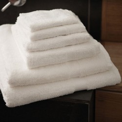 Plain Luxury range - bath sheet TOWELS TOWEL CITY 550 GSM