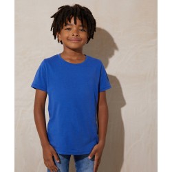 Plain Kids tshirt The 100 kids T AWDis Just T's 140 GSM